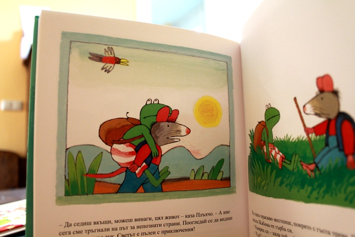 Жабокът и широкия свят