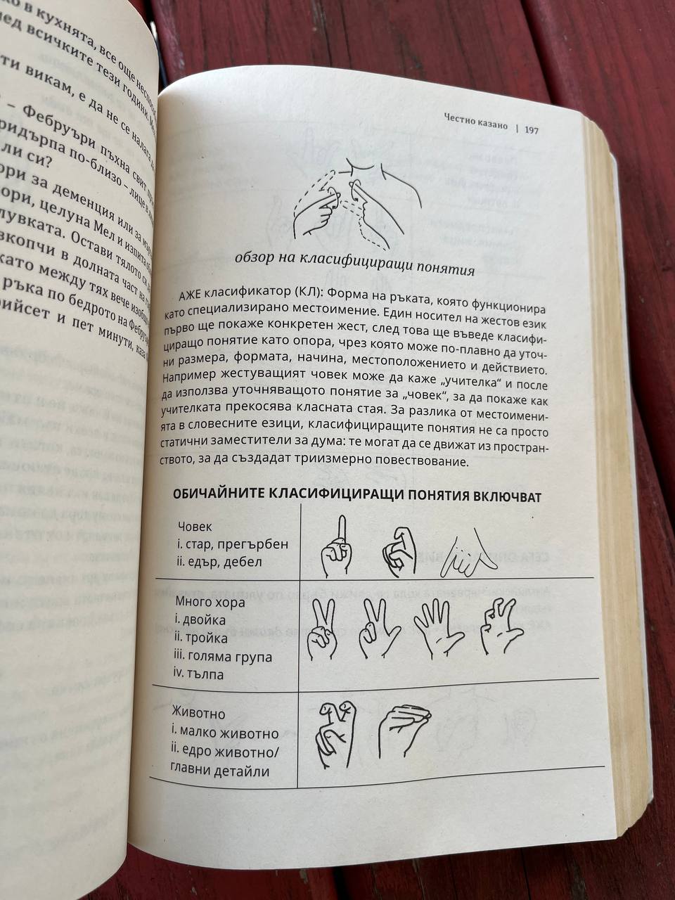 Тихата гора – изображение 8