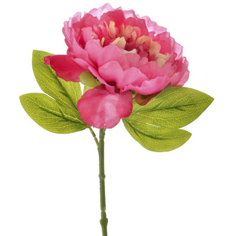 Моят личен 24 май