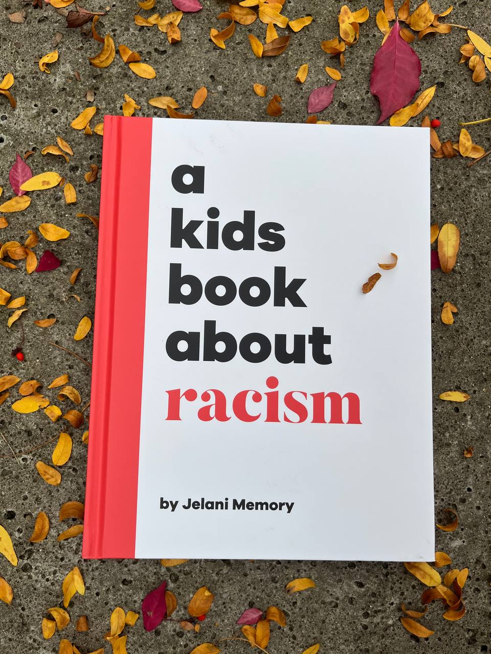 A kids book about racism