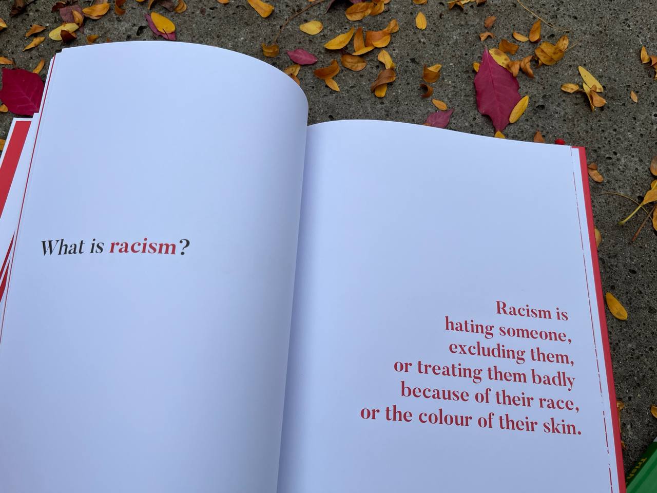 A kids book about racism – изображение 6