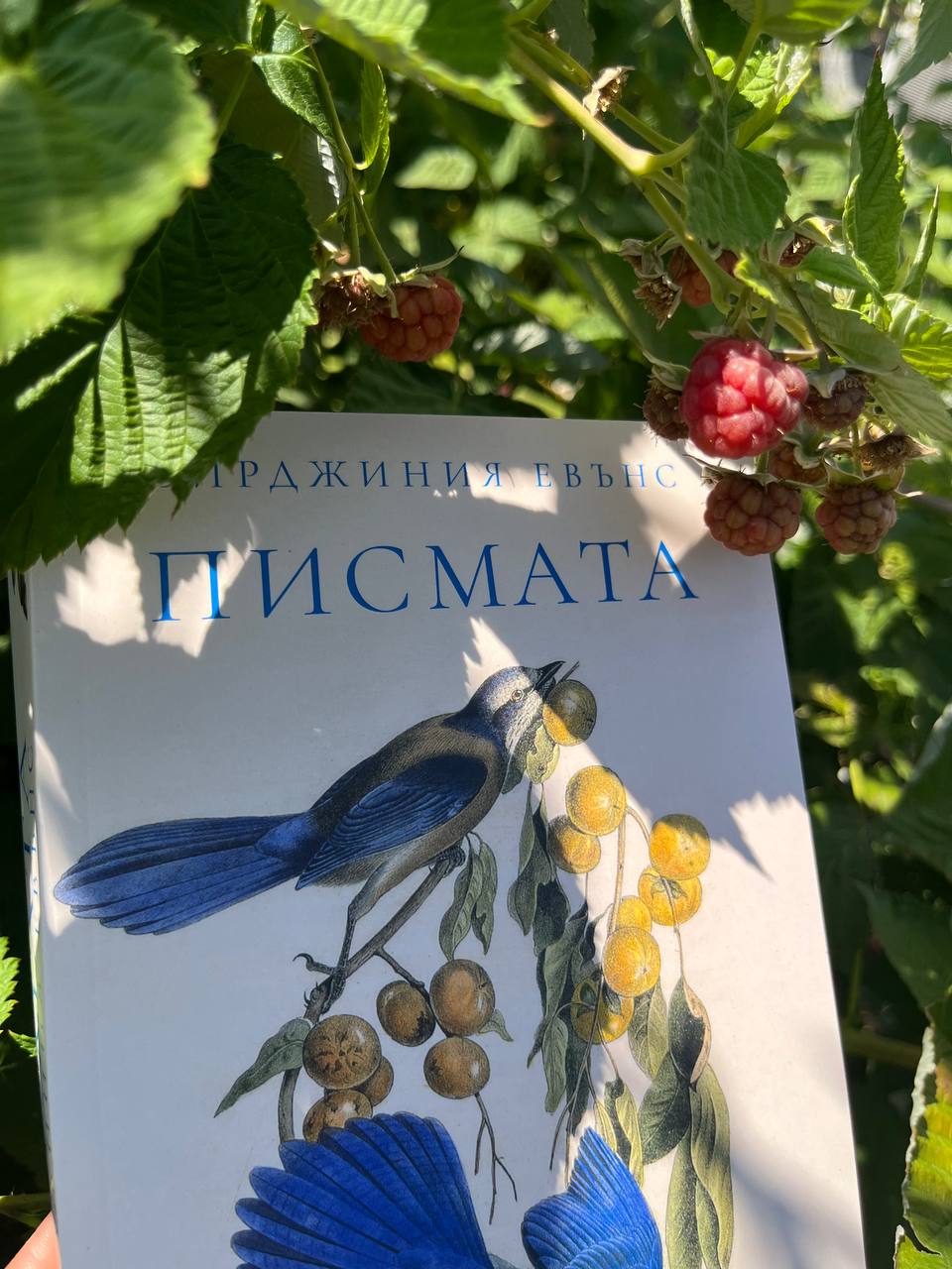 Писмата